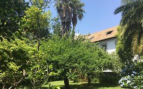 The Oaks House Foz